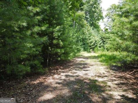 Lot 3-4 Scouts Overlook Lane Morganton GA 30560