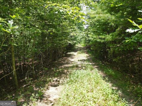 Lot 3-4 Scouts Overlook Lane Morganton GA 30560