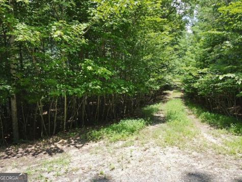 Lot 3-4 Scouts Overlook Lane Morganton GA 30560