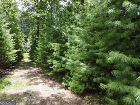 Lot 3-4 Scouts Overlook Lane Morganton GA 30560