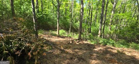 Lot 3-4 Scouts Overlook Lane Morganton GA 30560