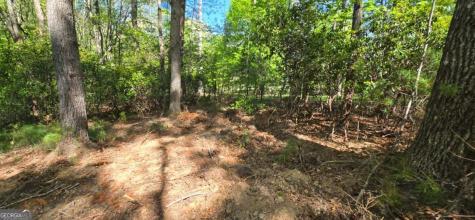 Lot 3-4 Scouts Overlook Lane Morganton GA 30560