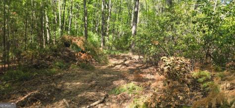Lot 3-4 Scouts Overlook Lane Morganton GA 30560