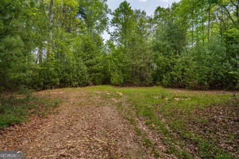 Lot 3-4 Scouts Overlook Lane Morganton GA 30560