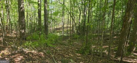 Lot 3-4 Scouts Overlook Lane Morganton GA 30560