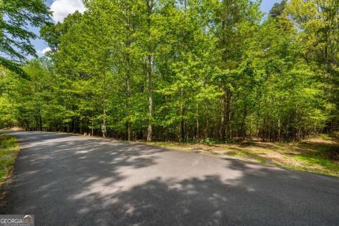 Lot 3-4 Scouts Overlook Lane Morganton GA 30560