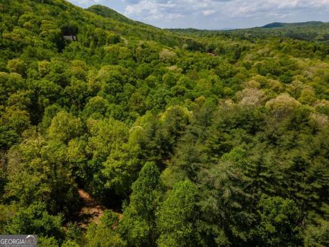 Lot 3-4 Scouts Overlook Lane Morganton GA 30560