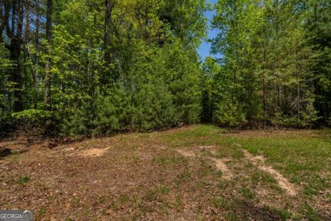 Lot 3-4 Scouts Overlook Lane Morganton GA 30560