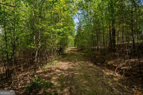 Lot 3-4 Scouts Overlook Lane Morganton GA 30560