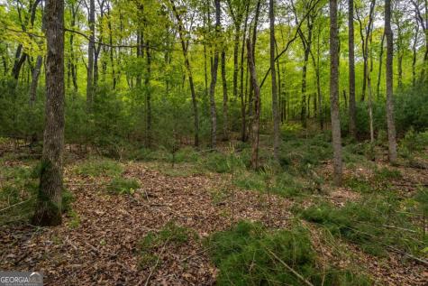 Lot 3-4 Scouts Overlook Lane Morganton GA 30560