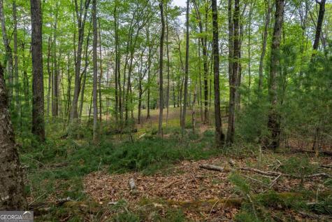 Lot 3-4 Scouts Overlook Lane Morganton GA 30560