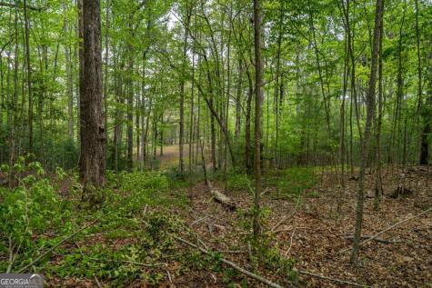 Lot 3-4 Scouts Overlook Lane Morganton GA 30560