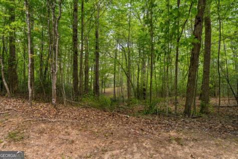 Lot 3-4 Scouts Overlook Lane Morganton GA 30560