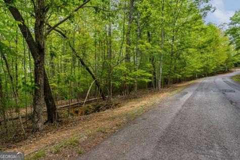 Lot 3-4 Scouts Overlook Lane Morganton GA 30560