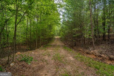 Lot 3-4 Scouts Overlook Lane Morganton GA 30560