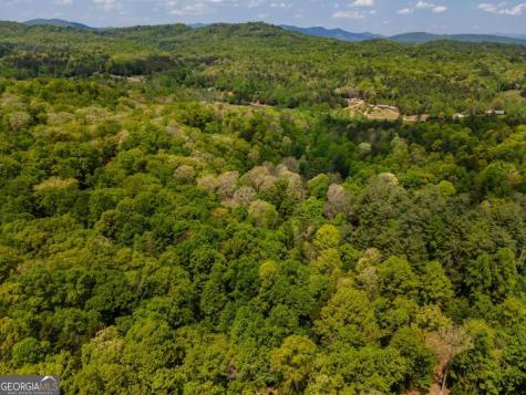 Lot 3-4 Scouts Overlook Lane Morganton GA 30560