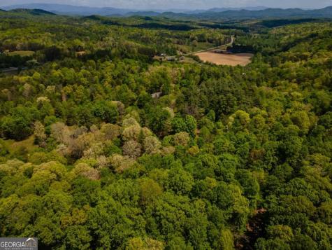 Lot 3-4 Scouts Overlook Lane Morganton GA 30560