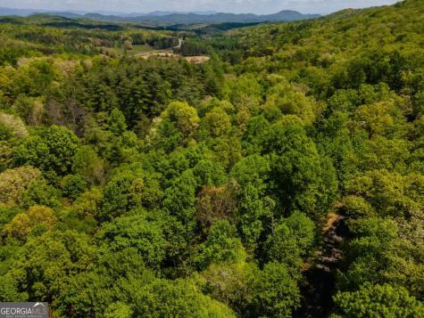 Lot 3-4 Scouts Overlook Lane Morganton GA 30560