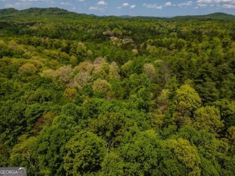 Lot 3-4 Scouts Overlook Lane Morganton GA 30560