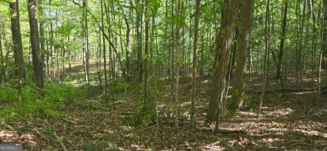 Lot 3-4 Scouts Overlook Lane Morganton GA 30560