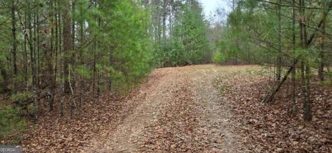 Lot 3-4 Scouts Overlook Lane Morganton GA 30560