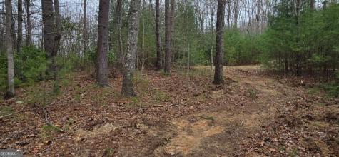 Lot 3-4 Scouts Overlook Lane Morganton GA 30560