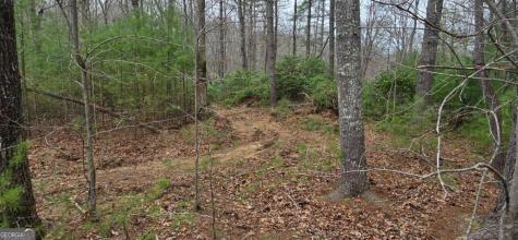 Lot 3-4 Scouts Overlook Lane Morganton GA 30560