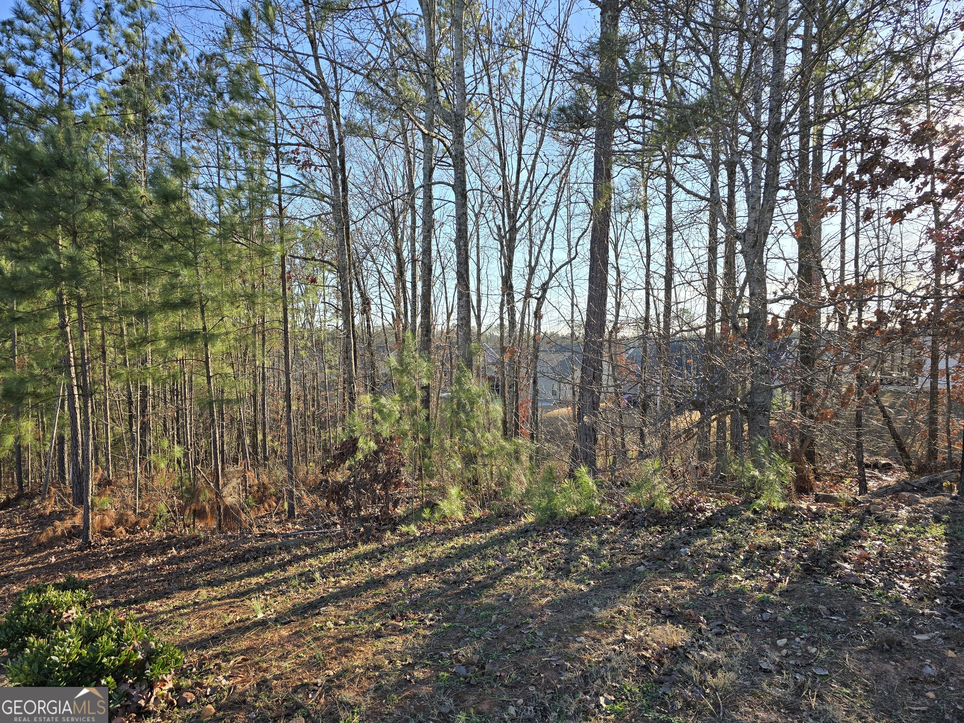 8351 Dublin Drive Winston GA 30187