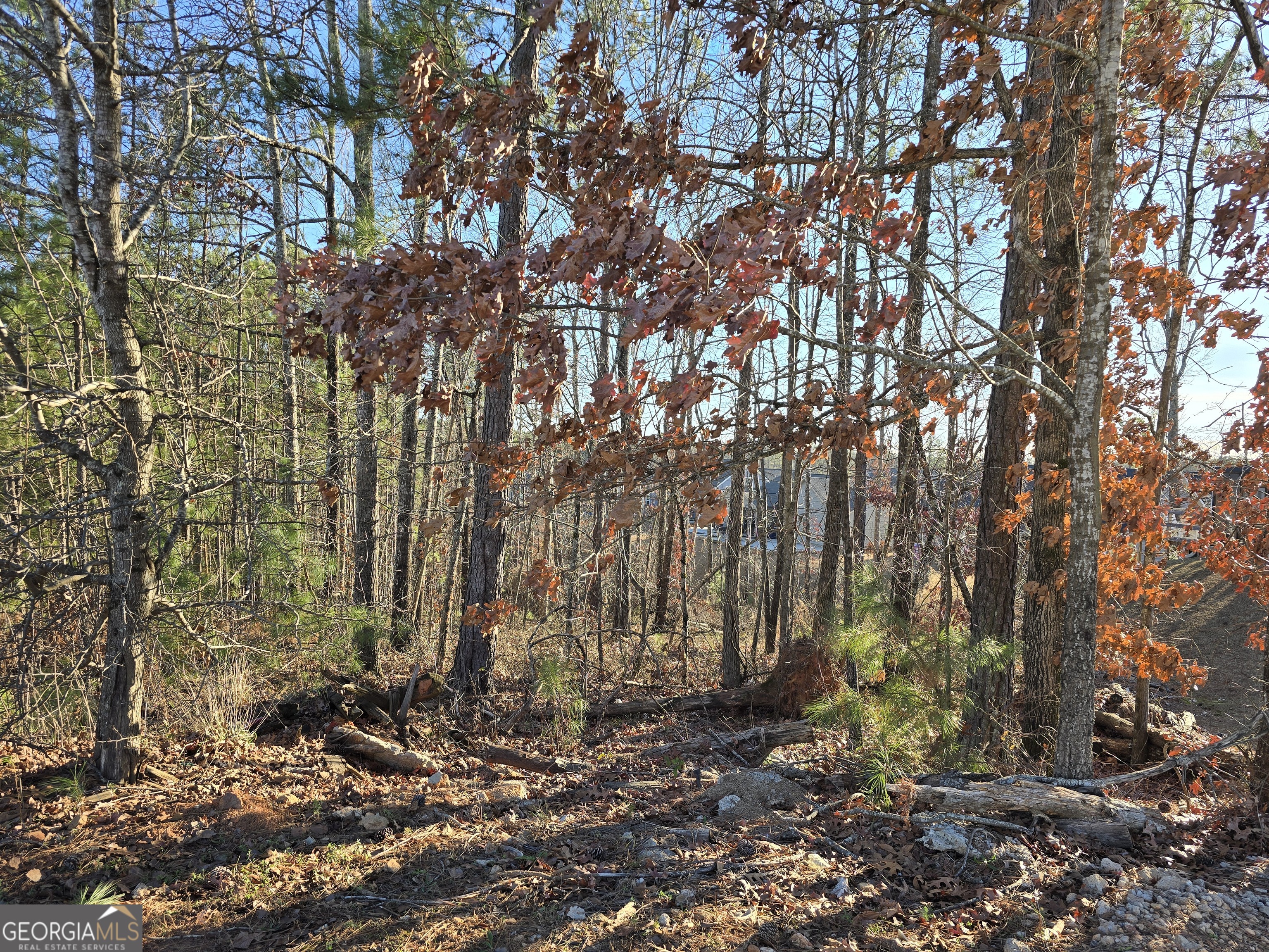 8351 Dublin Drive Winston GA 30187