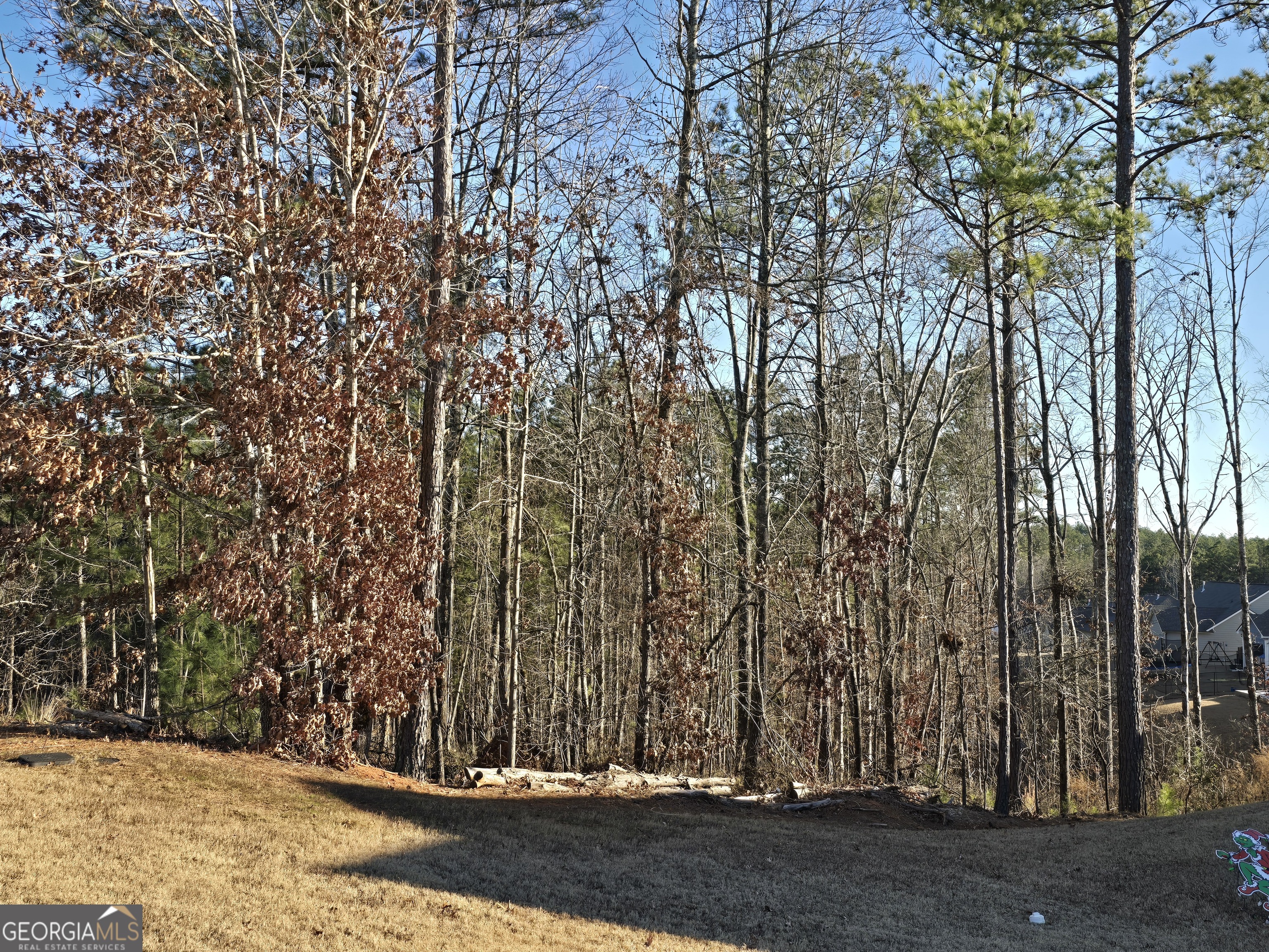 8351 Dublin Drive Winston GA 30187