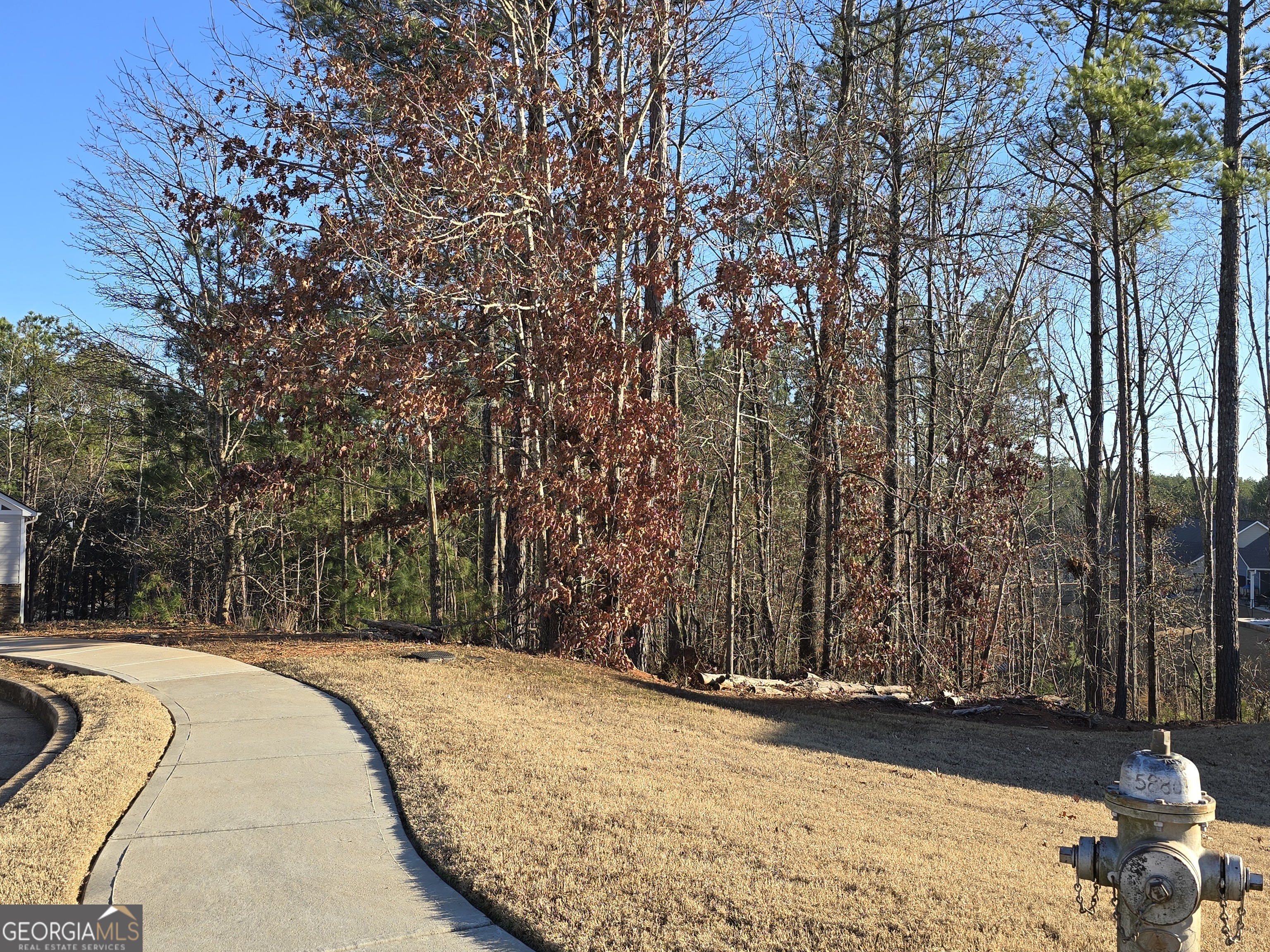 8351 Dublin Drive Winston GA 30187