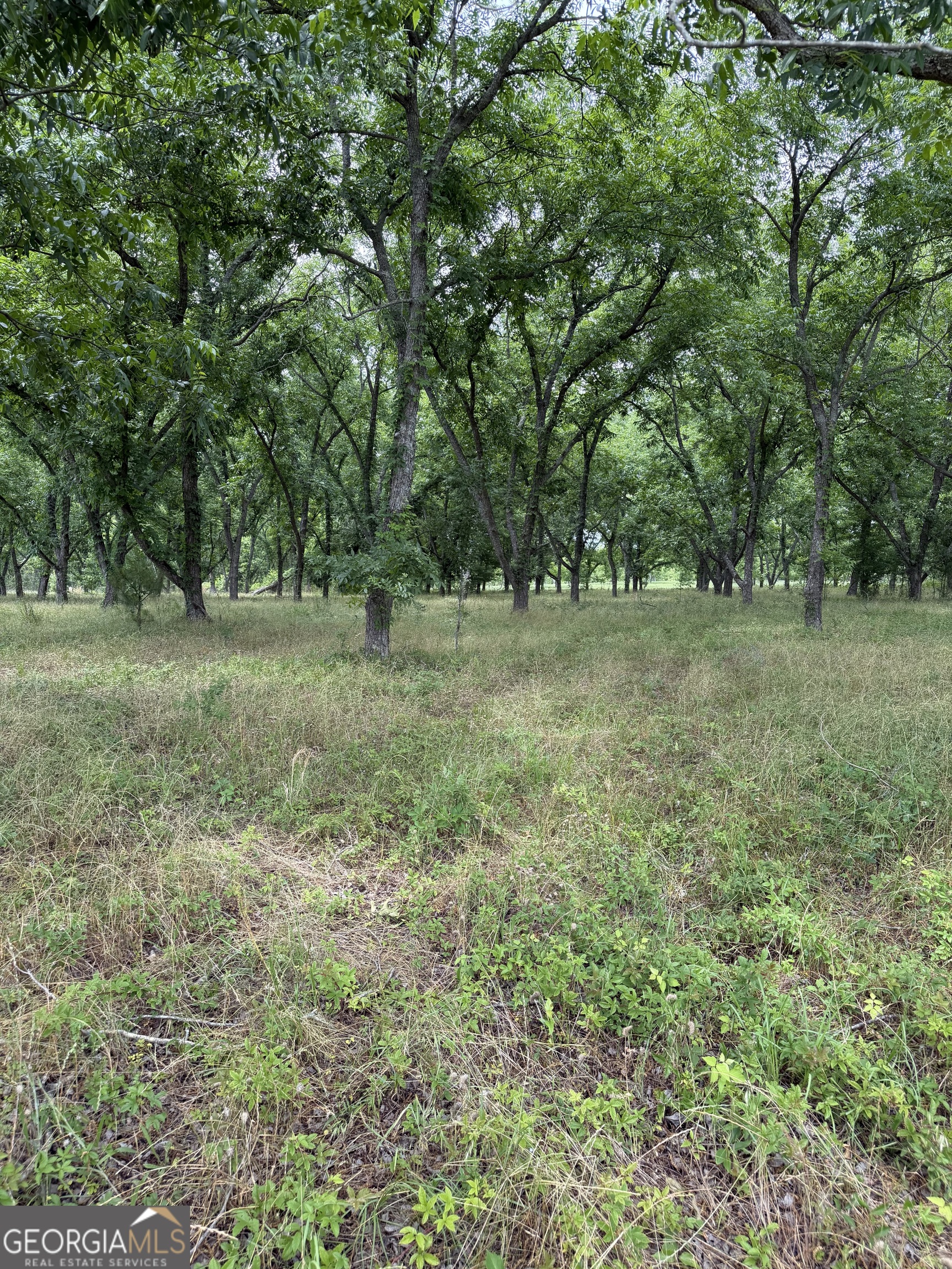 0 Tennille Harrison Road Tennille GA 31089
