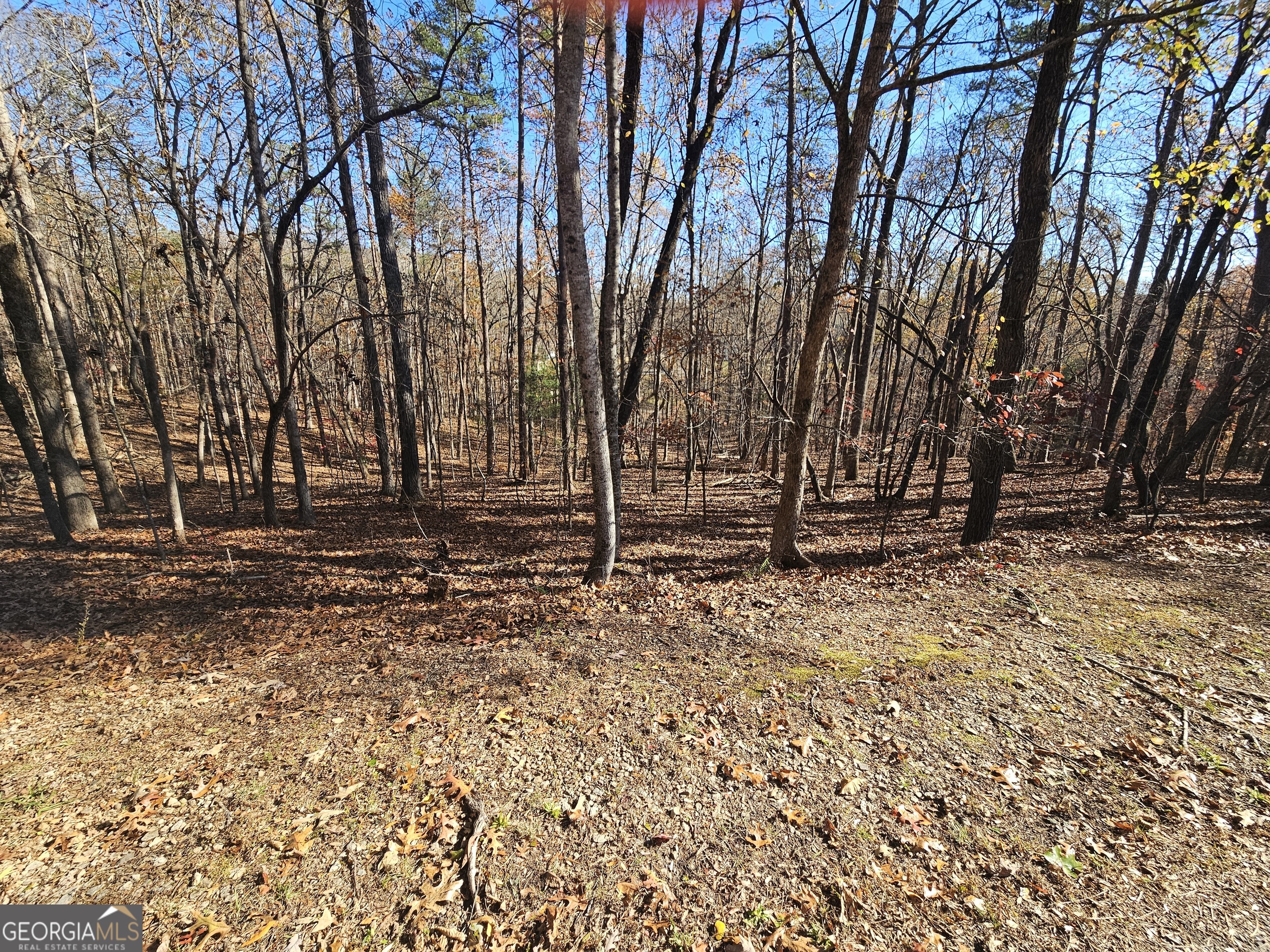 7629 Dogwood Way Murrayville GA 30564