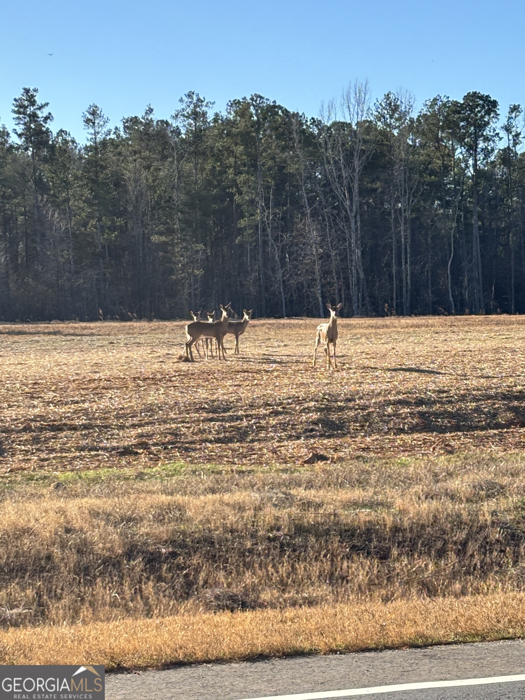 0 83 Connector Monroe GA 30655