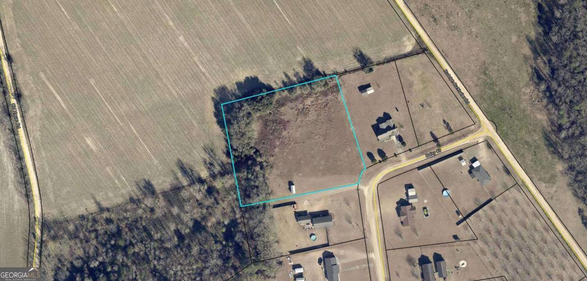 287 Daisy Circle Glennville GA 30427