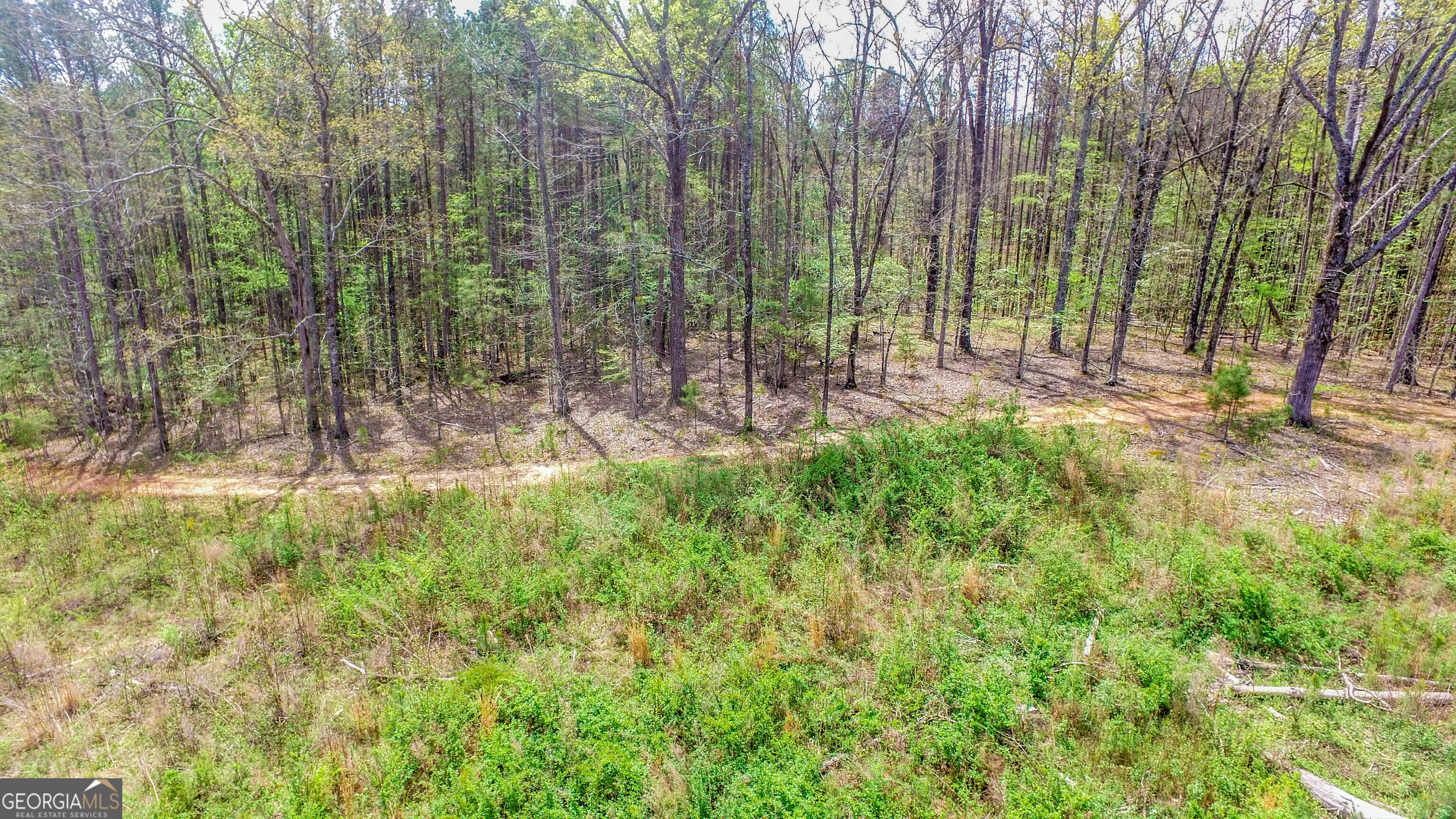 2185 Highway 85 Senoia GA 30276