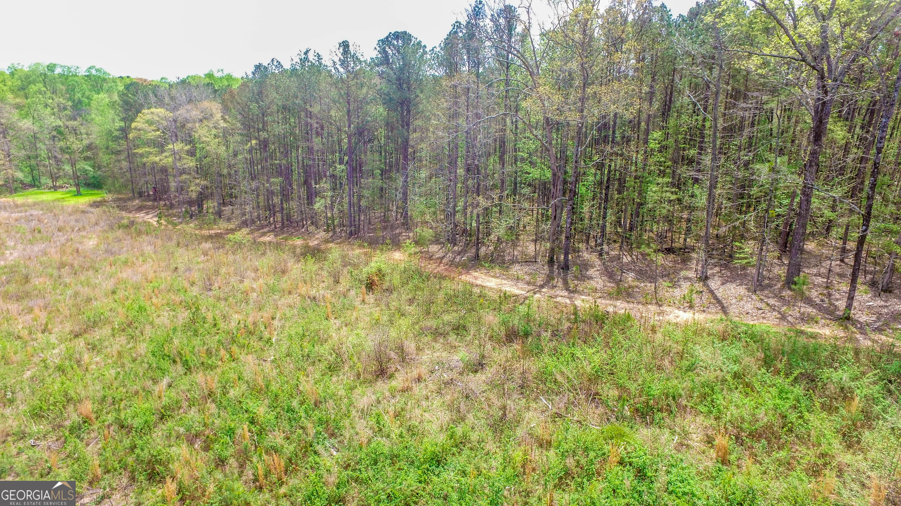 2185 Highway 85 Senoia GA 30276