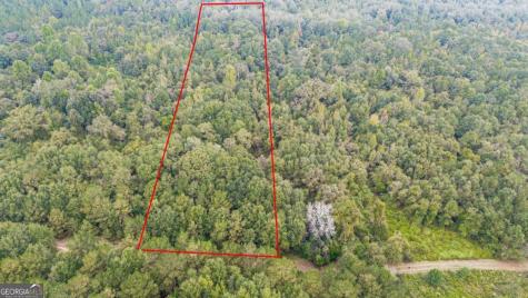 0 Willow Creek Drive Oglethorpe GA 31068