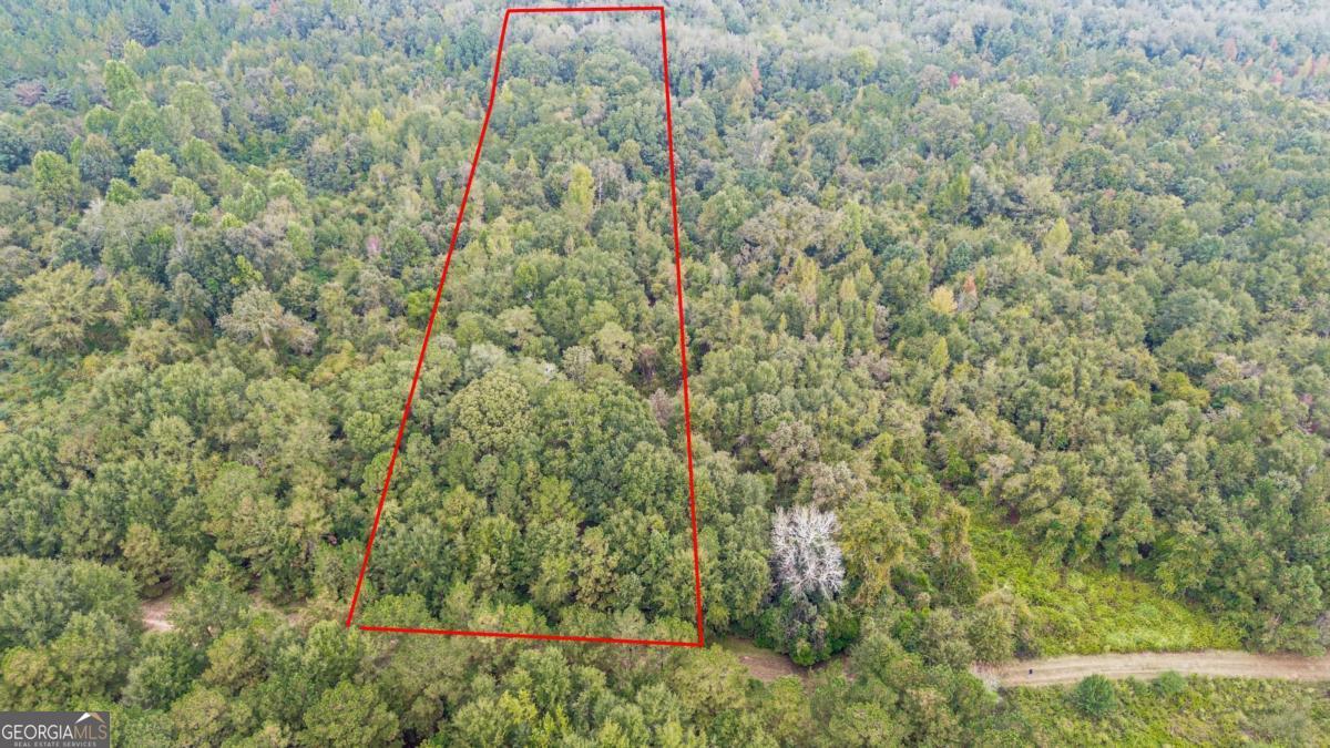 0 Willow Creek Drive Oglethorpe GA 31068