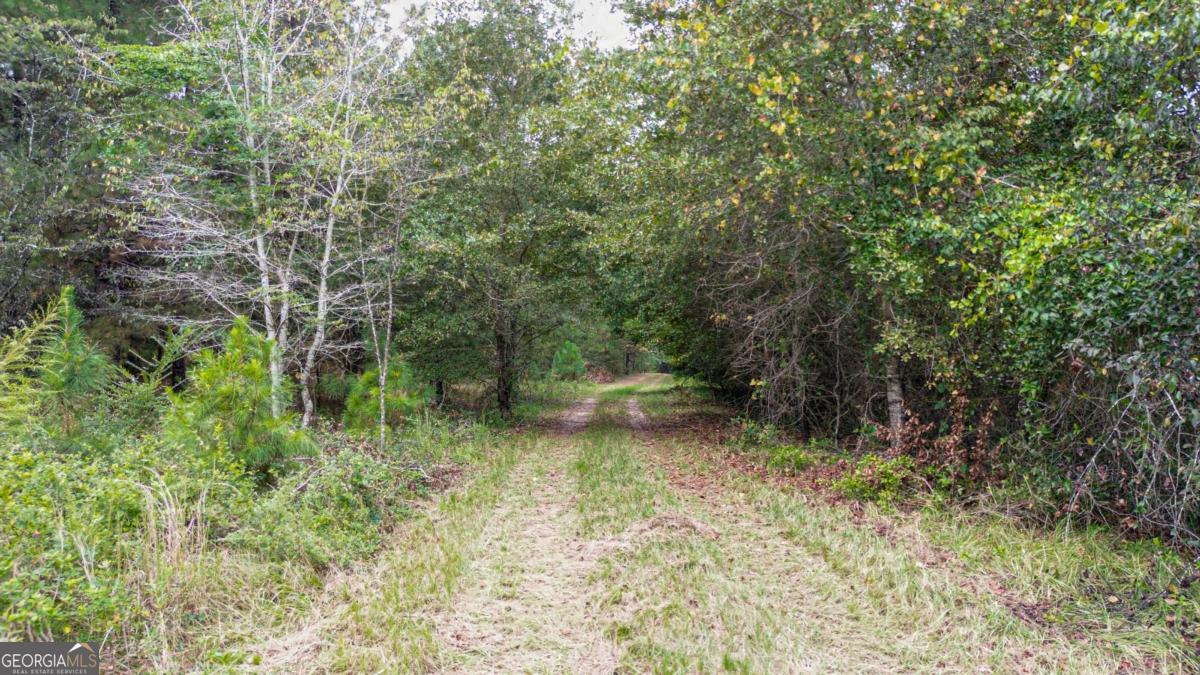 0 Willow Creek Drive Oglethorpe GA 31068