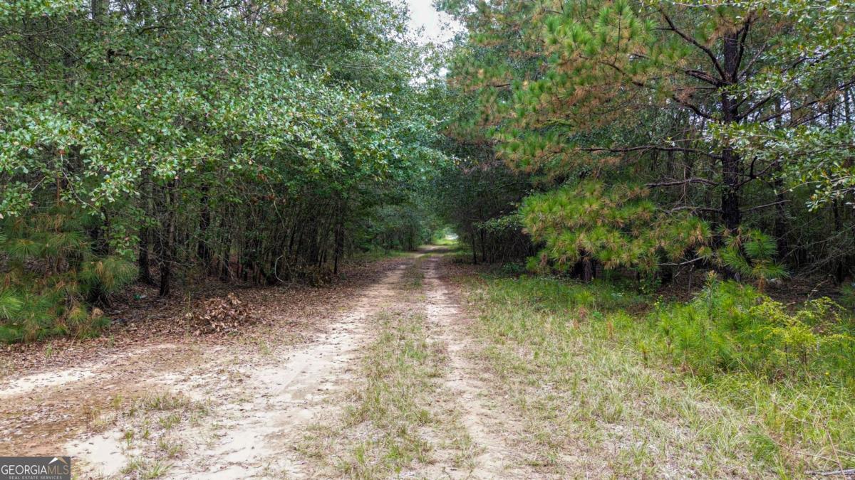 0 Willow Creek Drive Oglethorpe GA 31068