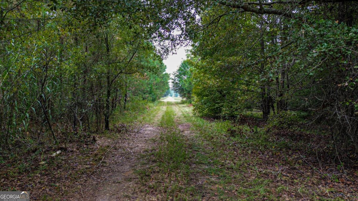 0 Willow Creek Drive Oglethorpe GA 31068