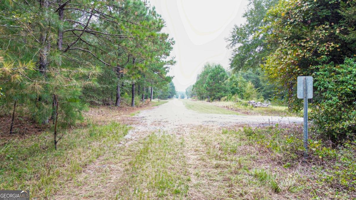0 Willow Creek Drive Oglethorpe GA 31068
