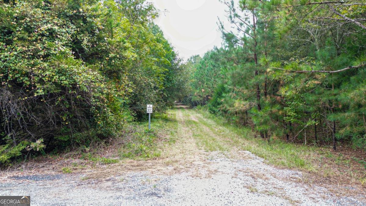 0 Willow Creek Drive Oglethorpe GA 31068