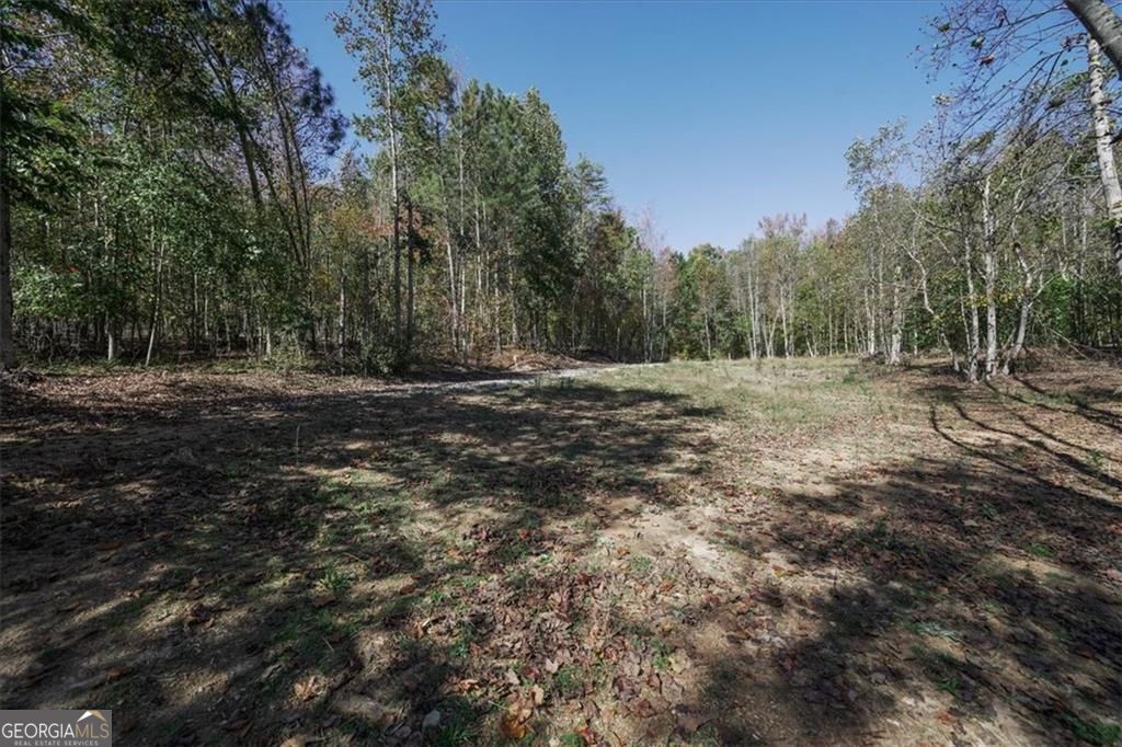 8205 Nicholson Road Cumming GA 30028