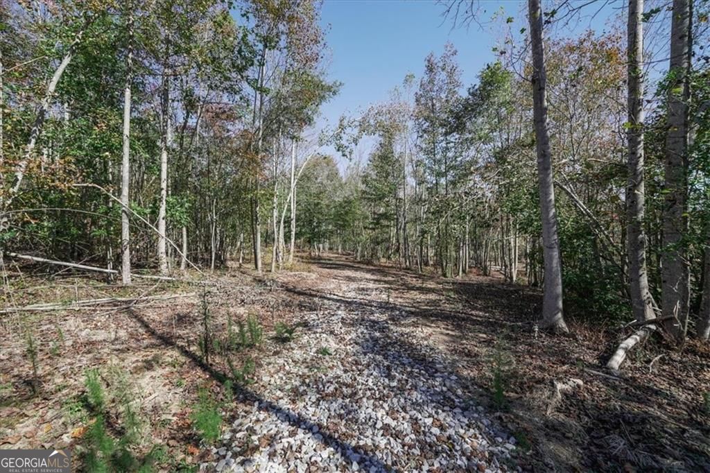8205 Nicholson Road Cumming GA 30028