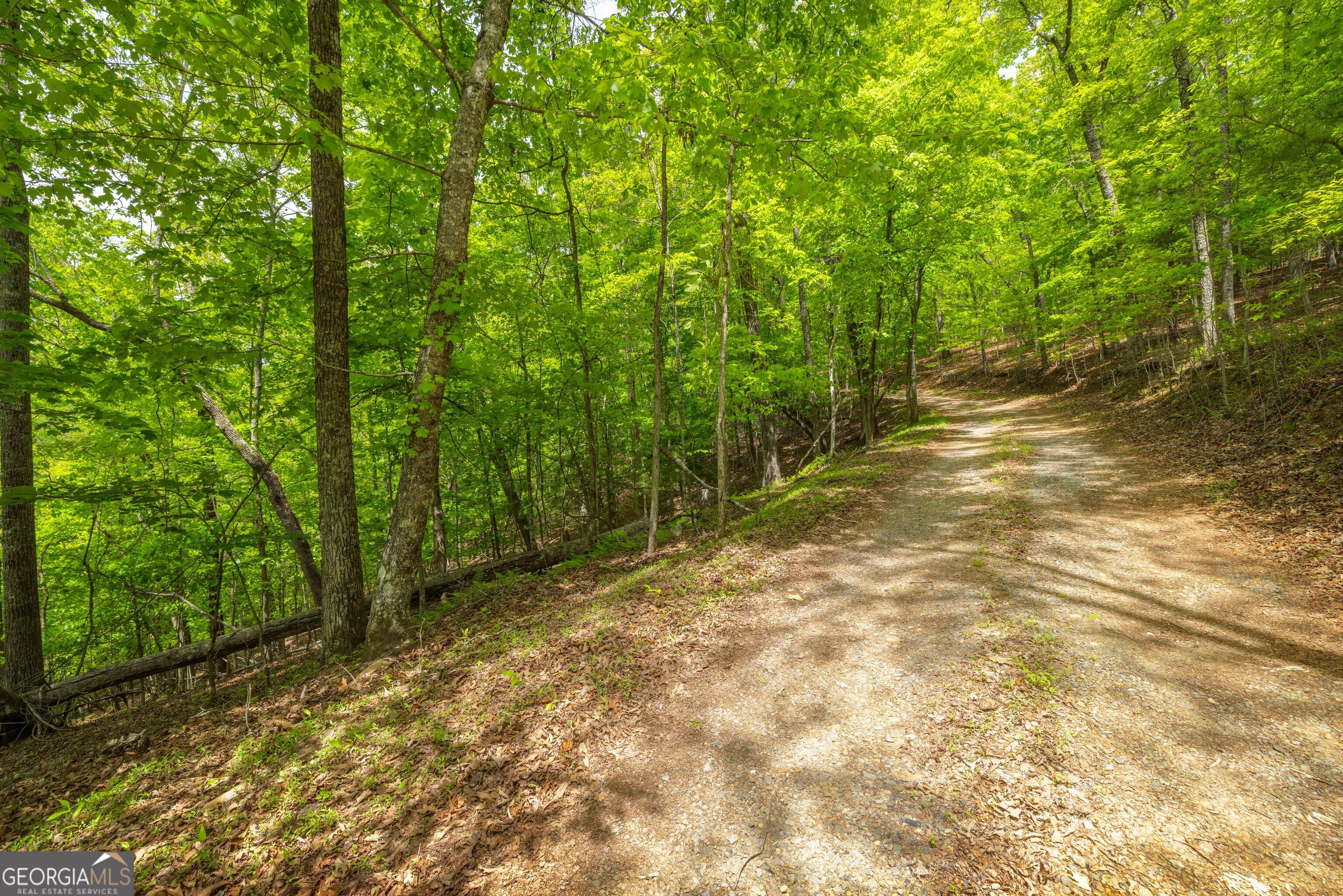 2.90 Acres Galloway Road Blue Ridge GA 30513