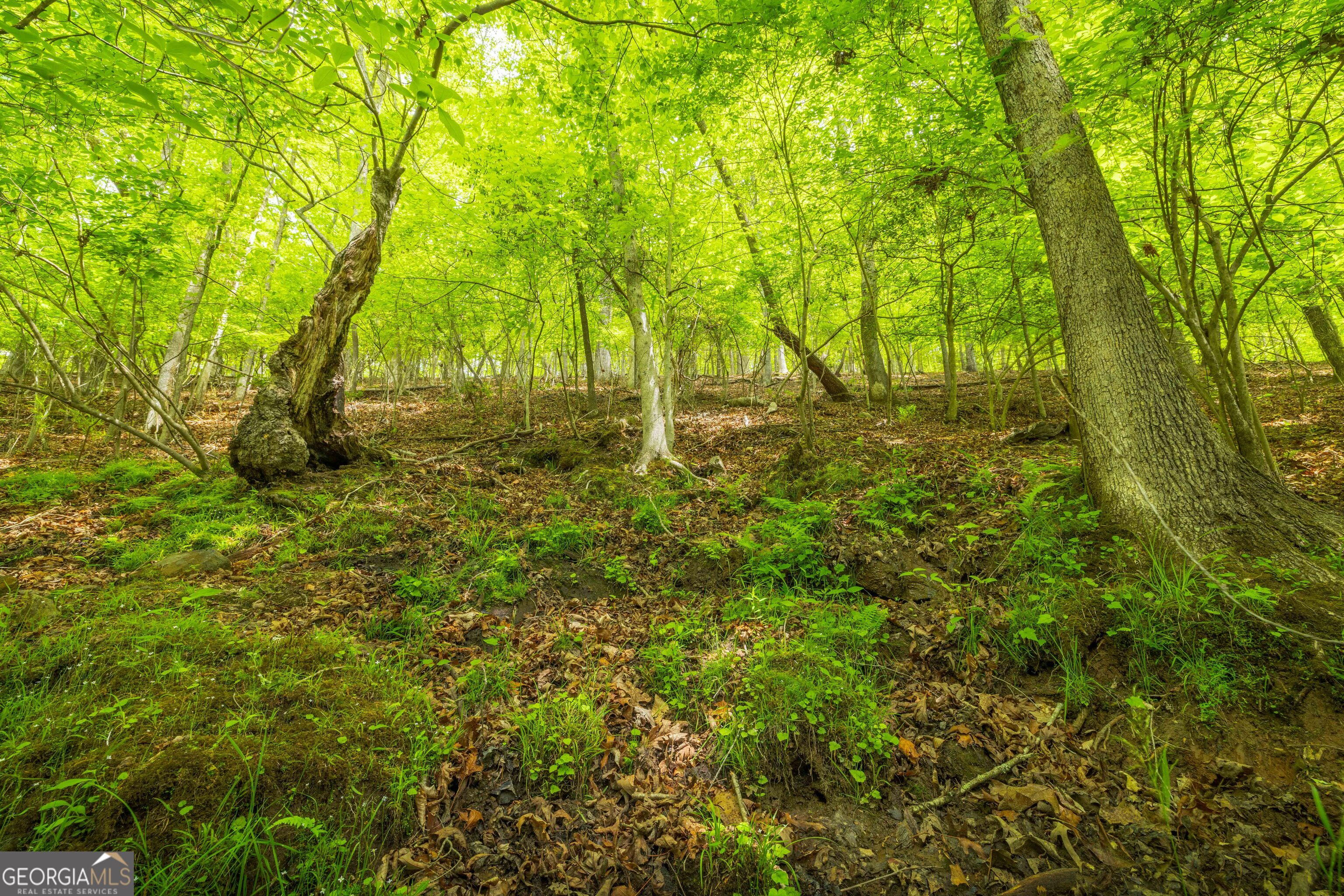 2.90 Acres Galloway Road Blue Ridge GA 30513