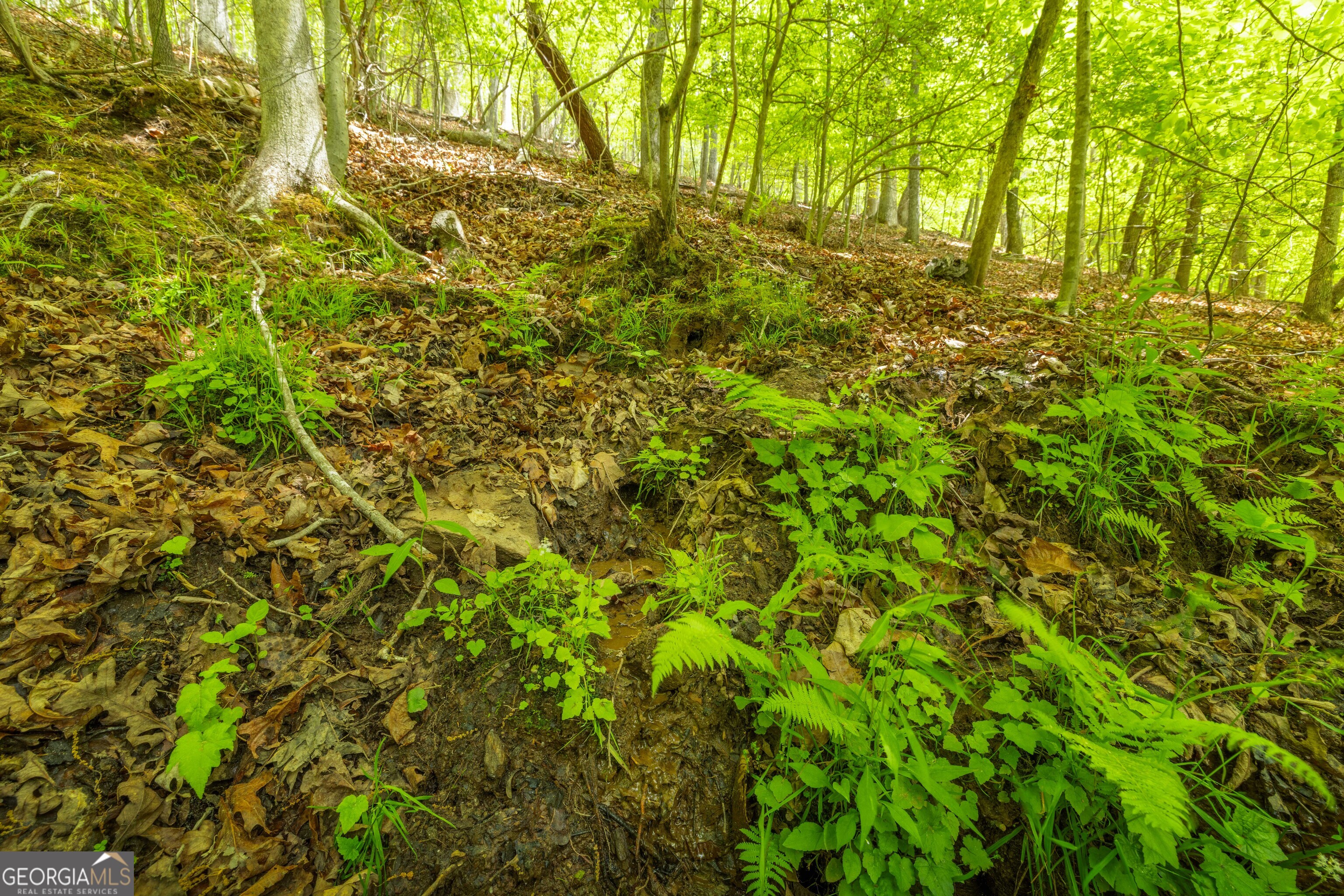 2.90 Acres Galloway Road Blue Ridge GA 30513
