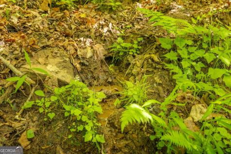 2.90 Acres Galloway Road Blue Ridge GA 30513